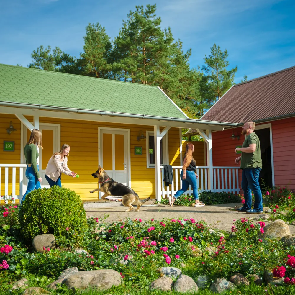 Hpr 1000X1000 4Col Fasttrackhc