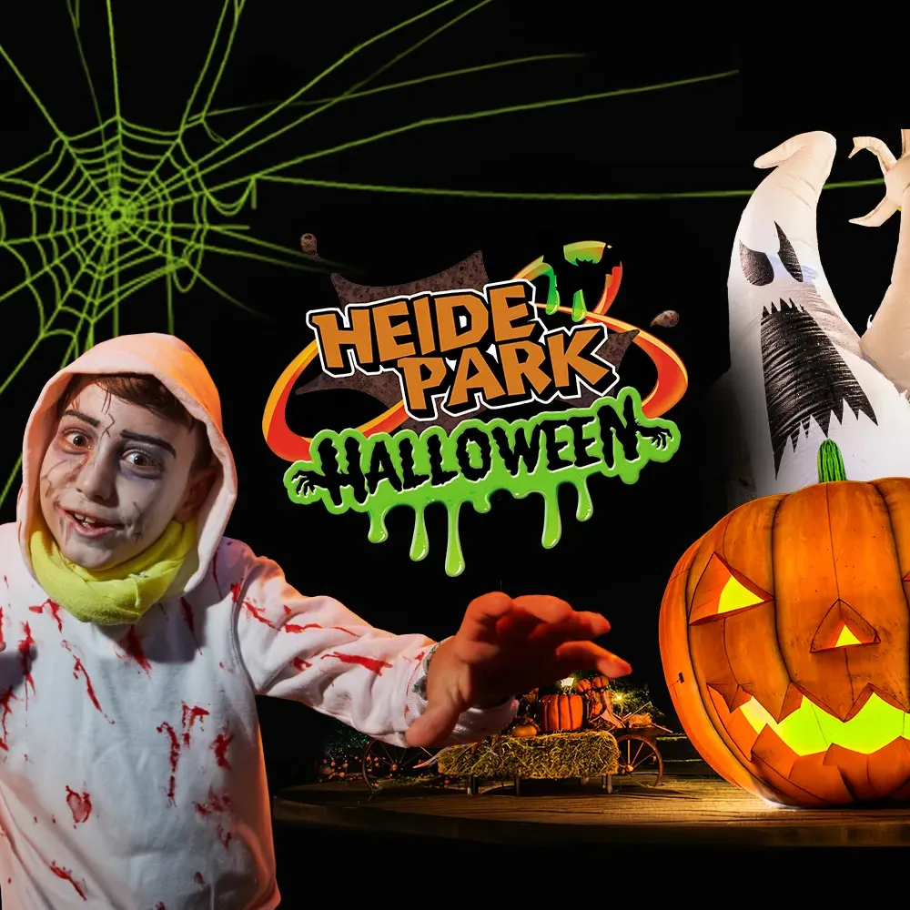 Hp 1000X1000 Halloween