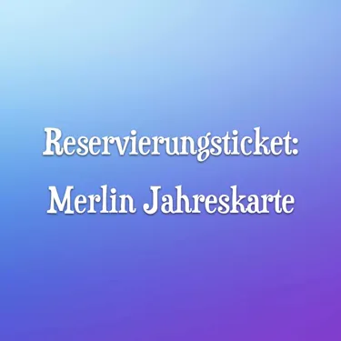 Reservierungsticket MAP ALT