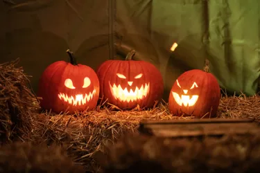 Halloweeen Heide Park Resort (1) (1)