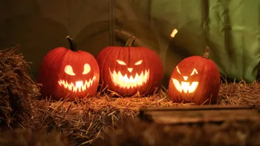 Halloweeen Heide Park Resort (1) (1)