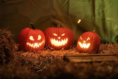 Halloweeen Heide Park Resort (1) (1)