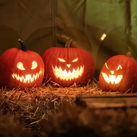 Halloweeen Heide Park Resort (1) (1)