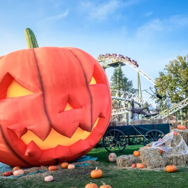 Halloween im Heide Park