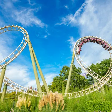 Big Loop