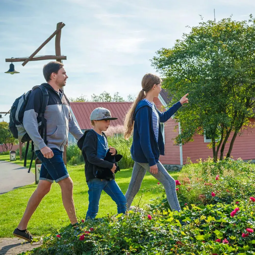 Hpr Asym 1000X1000 Bau