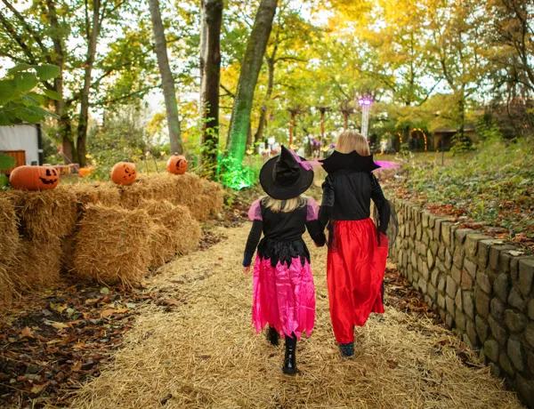 069 Halloween 2021