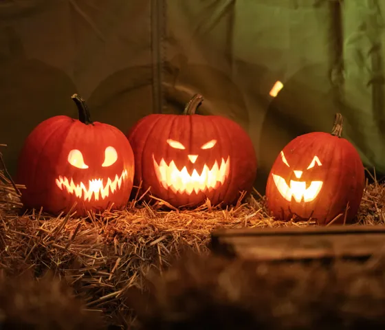 Halloweeen Heide Park Resort (1)